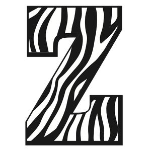 Team Page: Zeman Elementary